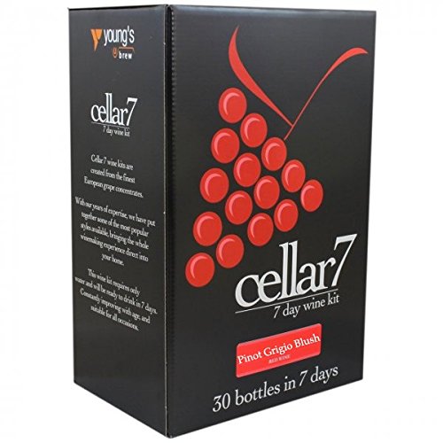 Cellar 7 by Youngs 30 Bottle 7 Day Wine Kit - Pinot Grigio Blush – Bigger  Jugs