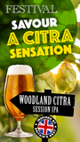 Festival Premium Ales - Woodland Citra Session IPA 35 Pint 3.1Kg Beer Kit